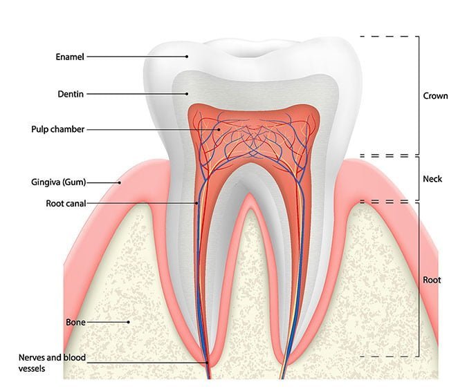 dental emergency lower manhattan