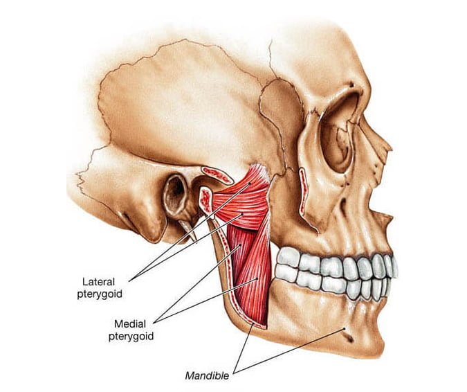 Jaw Pain